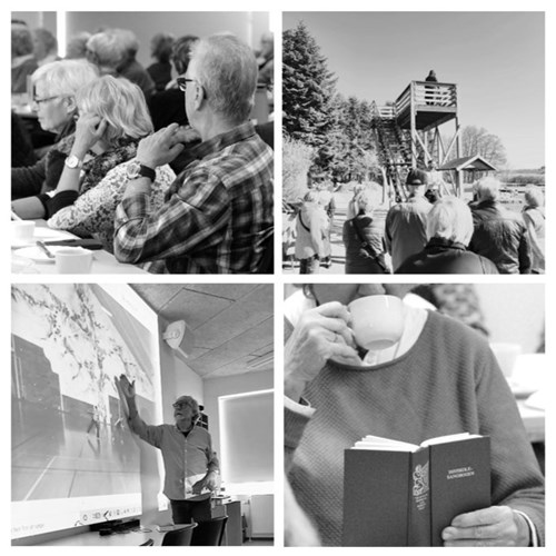 Seniorskolen